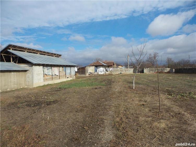 Teren Central Vulturu - 1