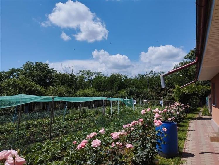 Vila, Republicii, Bacau - 11