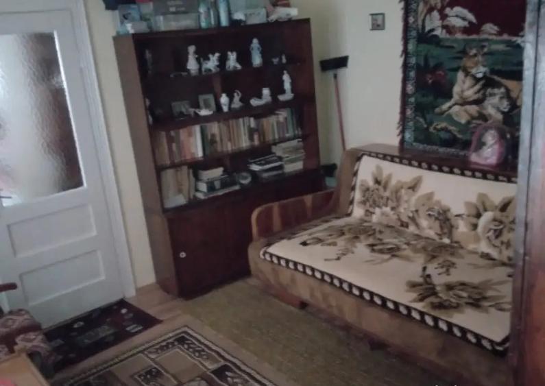 Valea Vie, casa 4 camere de vanzare - 17