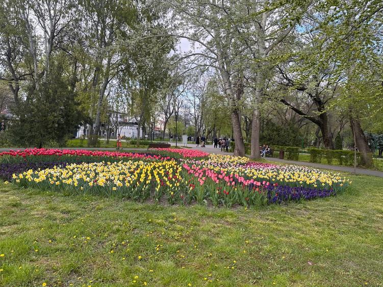 Apartament decomandat 2 camere cu vedere directa la parc si boxa; fara comision - 4