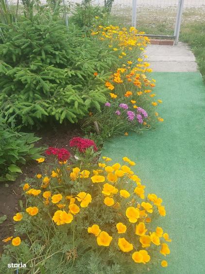 Casa de vacanta la 30 km de Bucuresti - 6