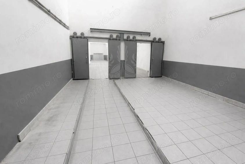 HALA PRODUCTIE/DEPOZITARE/BARIERA BUCURESTI - 7