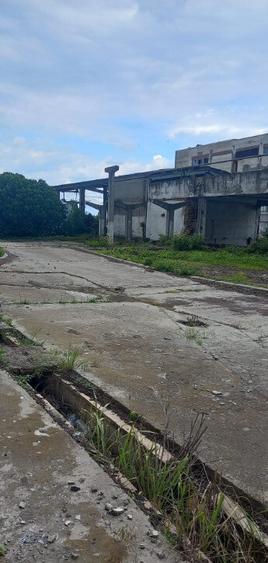 Activ de vanzare la 10 Km de Municipiul Braila ,3 Km de Dunare - 4