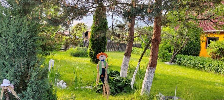 Casa de Vacanta Sovata - 1