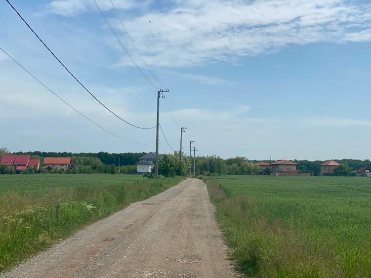 TereCiofliceni 5690 mp.Deschidere de 50m. - 4