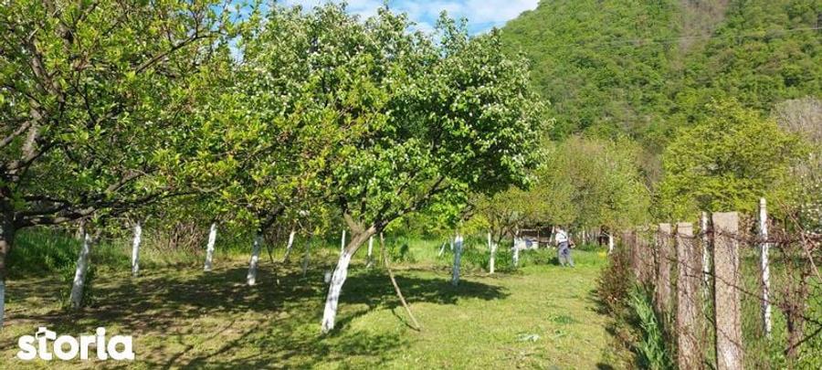 Teren intrare Herculane,E 70 Herculane-Orsova - 7