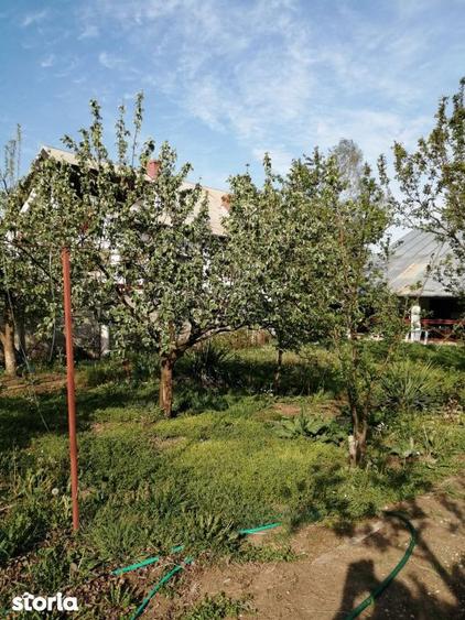 Casa 3 camere 100 mp | teren 937 mp | Vladeni central | mansarda |mobi - 10