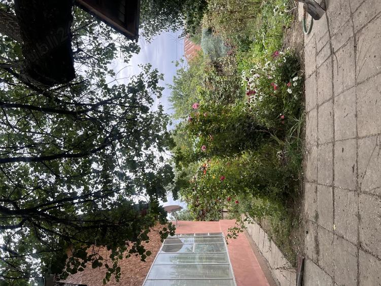 Casa de vanzare cartier Magurele Turnu Magurele - 7