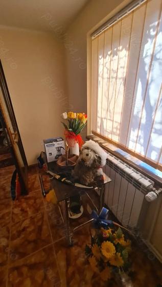 Casă cu 4 camere cu Teren 1730 Mp în Bucești