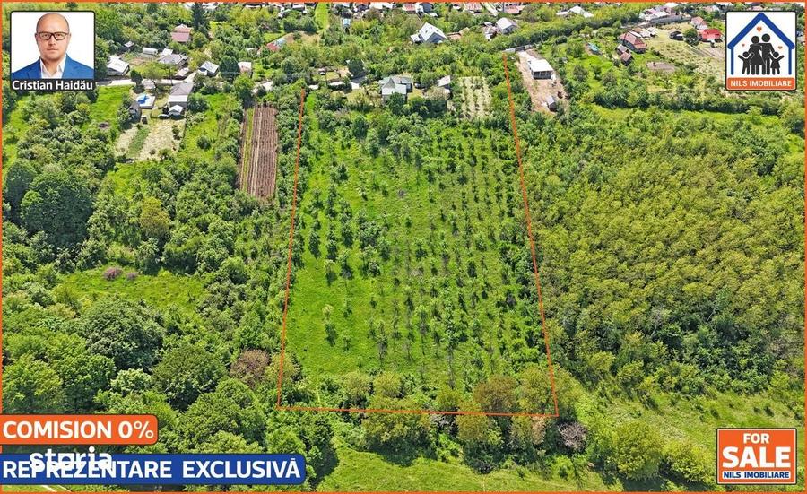 Casa renovata 141mp + Teren 10.000mp | Podenii Vechi - PH - 13