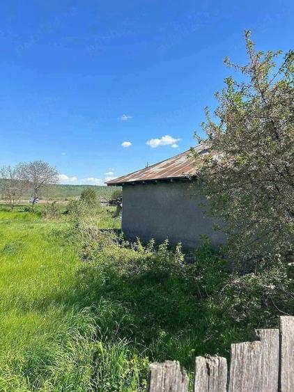 Casă cu Teren 1847 Mp în Central