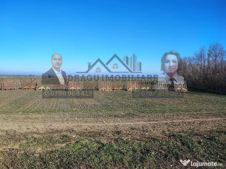 Teren 5000 mp, ie?ire din Tecuci, dupa Peco Galbenu? - 3