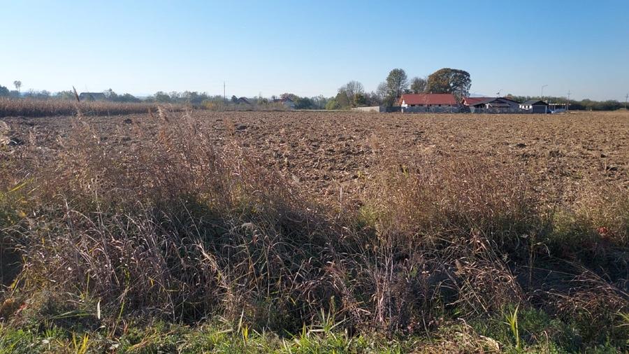 Vand teren intravilan Bacia - 2