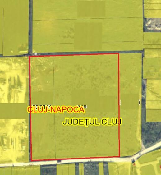 Teren in zona Emerson, 40.000 mp, front de 183 ml, perfect plan - 2