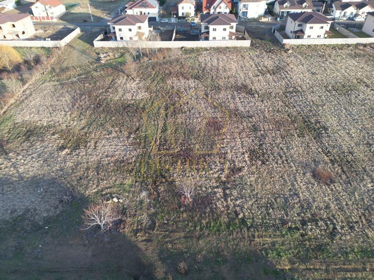 Parcela de teren intravilan cu destinatie SAD | Mosnita Noua | Valery - 2