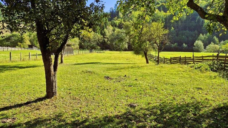 Casa cu teren 3000m2 intravilan - 6