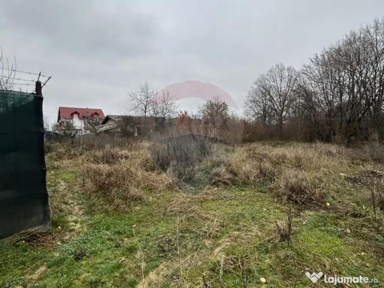 Teren 1,200mp si 400m2 cota drum Satu Nou de Jos / Strada... - 5