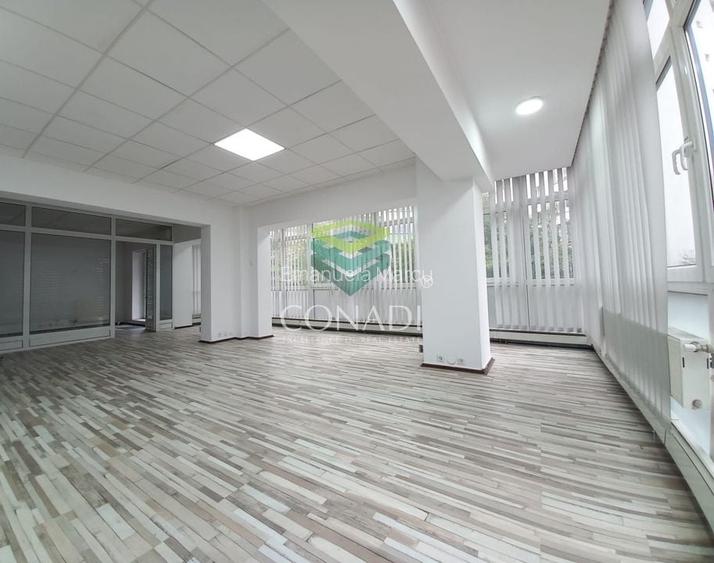 Birou de inchiriat // Domenii // Mihalache