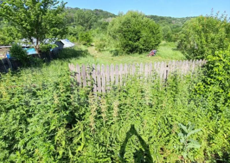 Teren intravilan, 1049 mp Cobia, sat Mislea ie?ire - 8