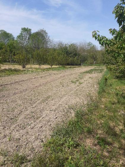 Casa de vanzare Visag - 2