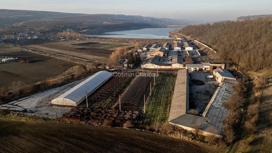 Fosta Ferma a Partidului de la Horgesti - de vanzare