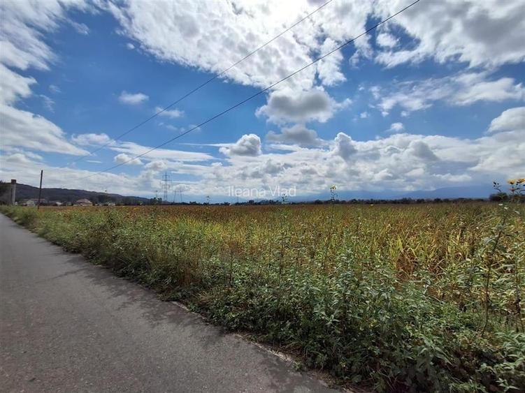 Teren extravilan 15000mp drum asfaltat zona Selimbar