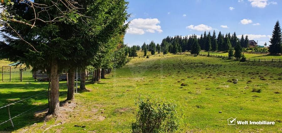 Teren intravilan 10.814 mp cu PUZ aprobat – Belis - 1