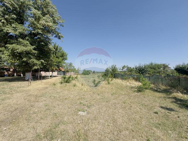 Teren 2,841mp Apateu / Strada Principala langa Biserica Ortodoxa - 13