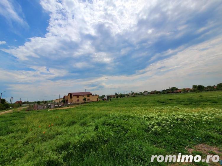 Domeniu, 9,5 ha, 25 KM de Timisoara - 17