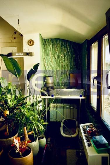 VANZARE APARTAMENT 3 CAMERE COTROCENI | REOVAT COMPLET | - 11