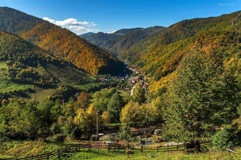 Teren intravilan, 9000 mp, Oportunitate de investitie, Valea Ierii