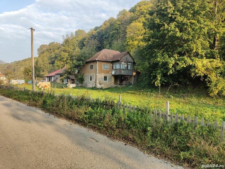 Casa de vanzare cu gradina teren de aprox 7000 mp,6.5 euro mp - 4