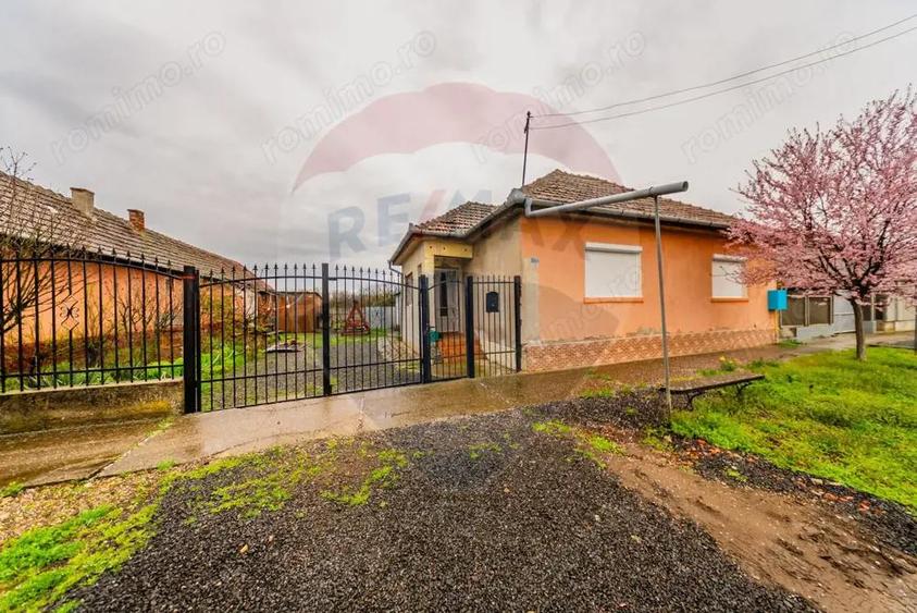 Casa /Macea/ARAD - 6