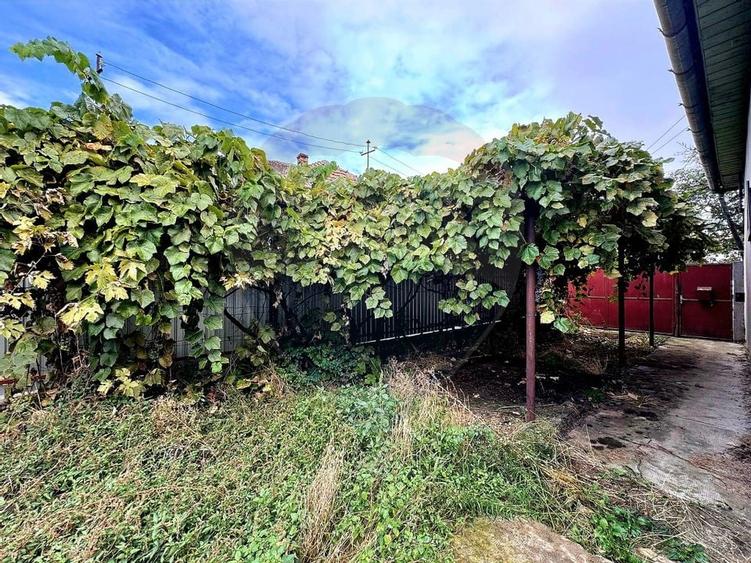 Casa cu teren de 750 mp, Chisineu Cris - 14