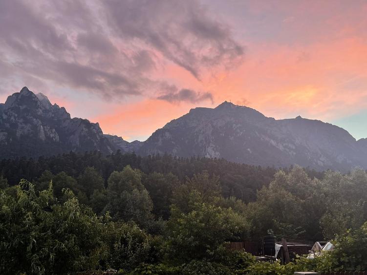 Vanzare Propritate/ Investitie - 7