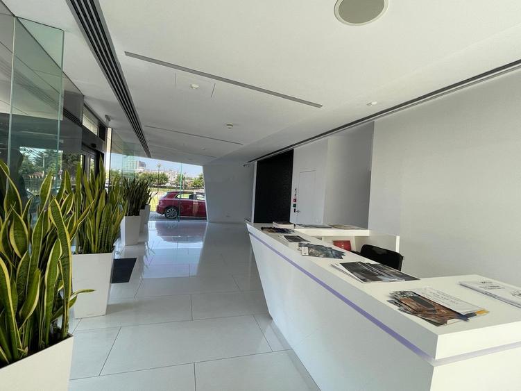 MIHAI BRAVU-TIMPURI NOI - 2