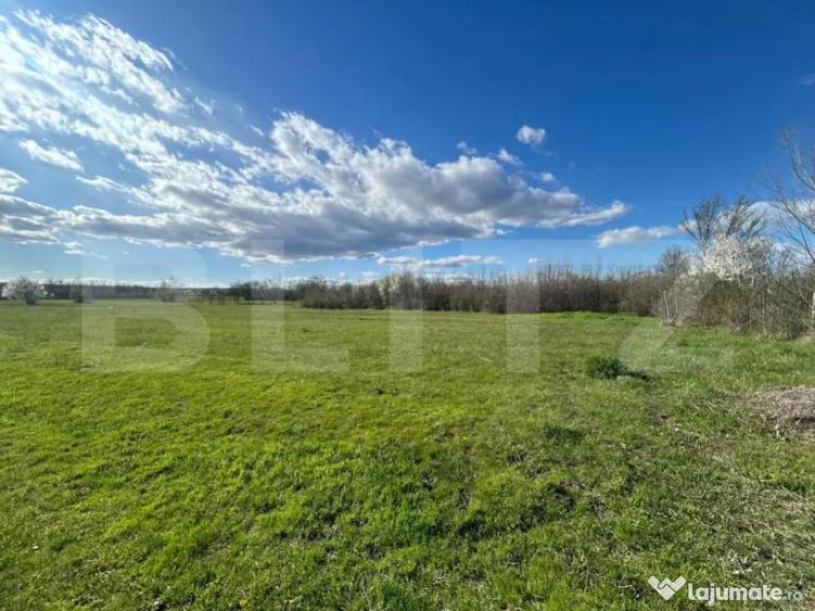 TEREN | RANCACIOV | 2000 MP | 700 INTRAVILAN | - 1