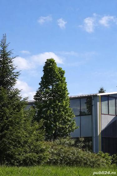 Hala industriala de inchiriat pe Calea Bucuresti folosinta multipla - 3