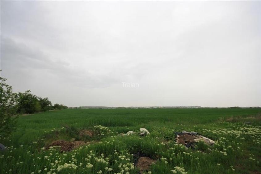 Teren 12500 mp, de vanzare, Tunari, negociabil