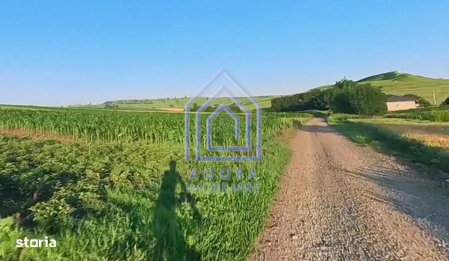 Teren intravilan Moara Carp - zona Ponoare - 3