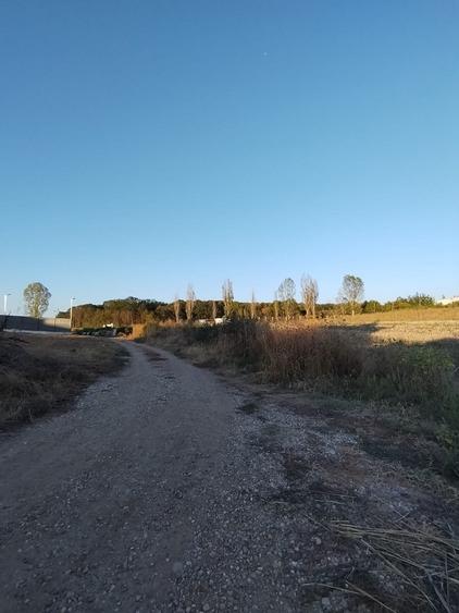 Ciolpani, spre Izvorani - COR, vanzare teren 5000mp. - 2