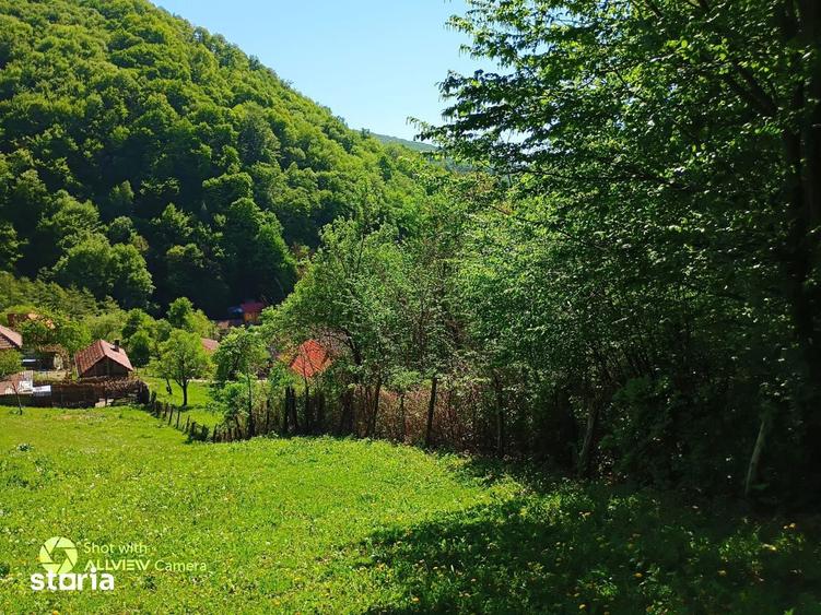 Teren de Vanzare in Statiunea Baile Olane?ti sau Schimb cu Apartament - 7