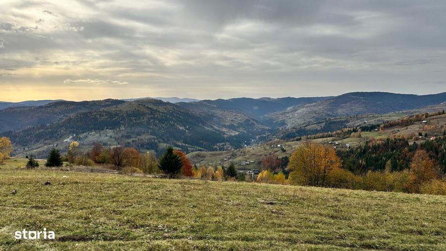 Teren Comuna Horea 17278m2. Apuseni - 6