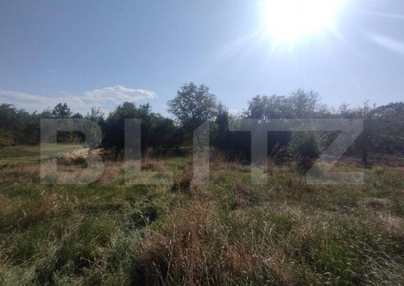 Casa 160mp utili+anexe+teren 67 ari intravilan,10 km distant - 9