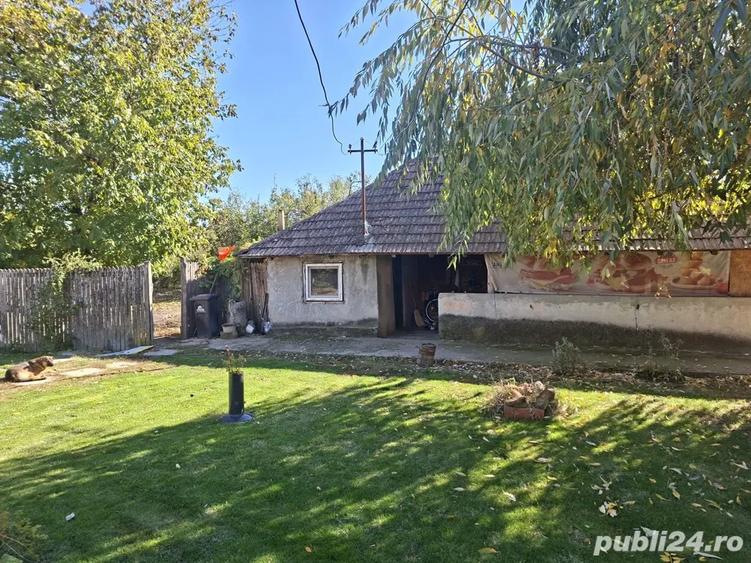 Casa cu teren 3.000 mp vie, livada, utilita?i, acte in regula! - 5