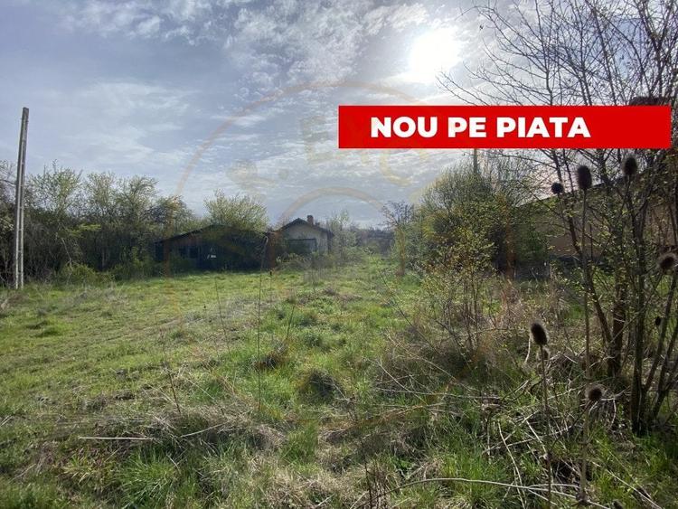 Teren intravilan 1.400 mp - Schitu Golesti AG - 2