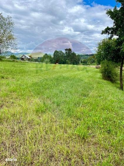 Teren 1,884mp Berbesti / Drumul secundar - 4