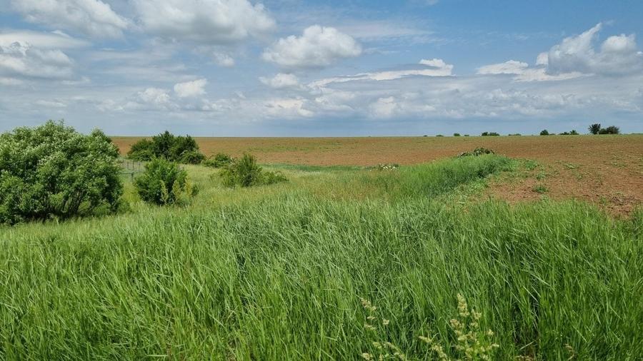 Teren intravilan Teiu, Arges - 2