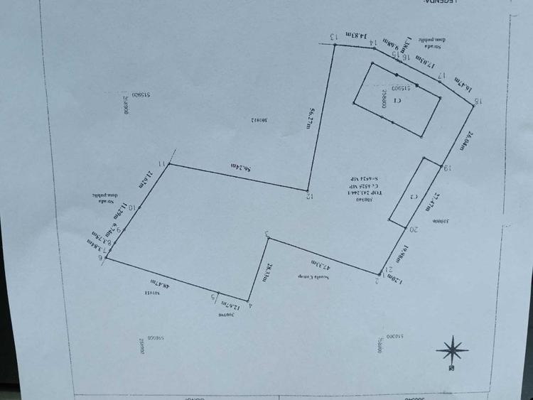 Conac apartinand lui Cicio POP, judet ARAD - 7
