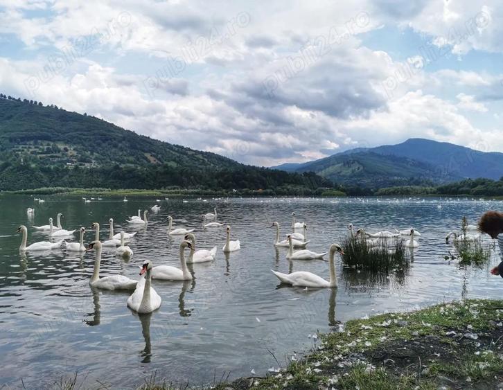 Casa de vanzare la munte, 5 camere, curte mare, garaj jud. Neam?, aproape de Manastirea Pangara?i - 2